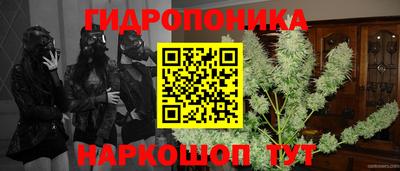 каннабис Будённовск