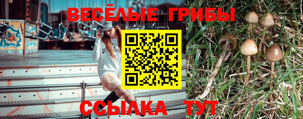 Галлюциногенные грибы Cubensis Южноуральск